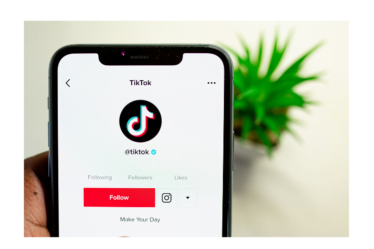 How To Make Money Online On TikTok